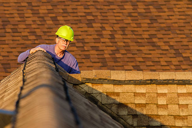 Roof Gutter Cleaning in Milford, IA
